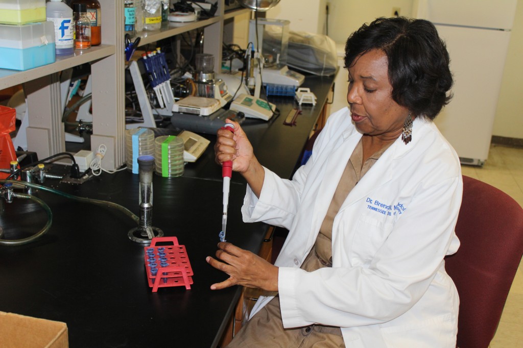 Dr. Brenda S. McAdory, a cell and neurobiologist at TSU, prepares beta 2 chimaerin samples in her lab to be injected into mice, as part of her study with Johns Hopkins scientists on “axon pruning” or the removal of excess nerve cells on the brain. (photo by Emmanuel Freeman, TSU Media Relations)