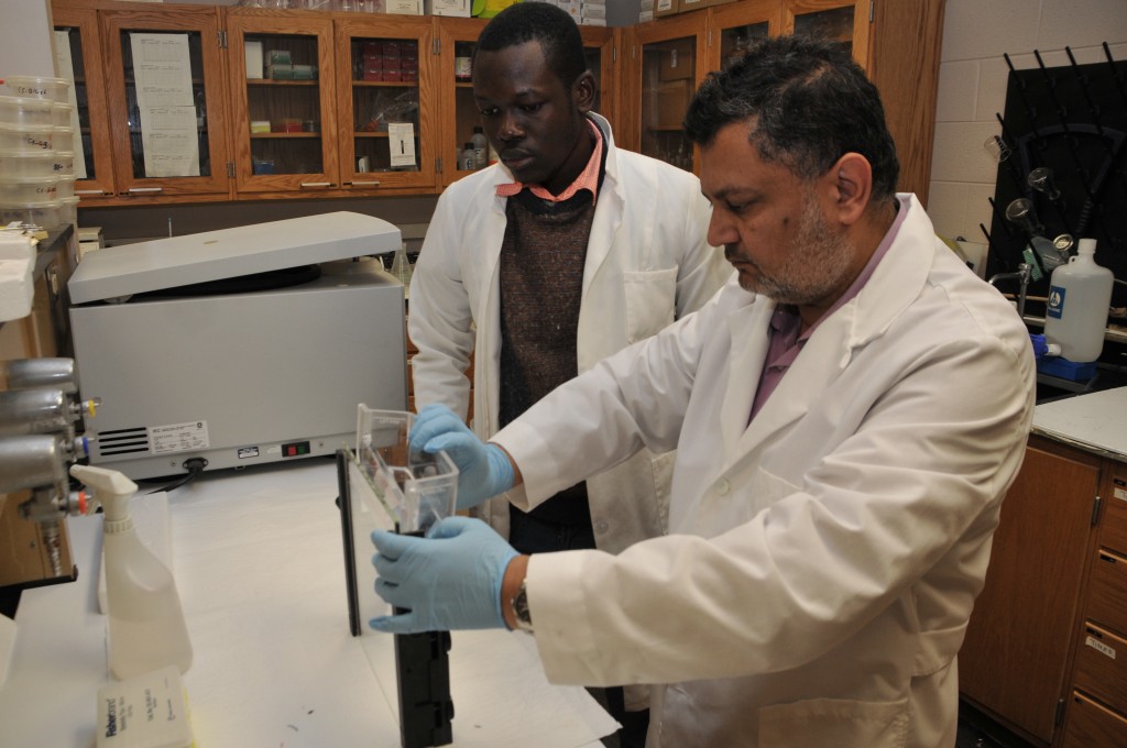 Dr. Ahmad Aziz, associate professor of Agricultural and Environmental Sciences, carries on an experiment with graduate assistant Abdul Mujeed Yakubu, in his lab. Dr. Aziz received a teaching grant for his research on bio-energy/biofuel and natural resources. (courtesy photo)