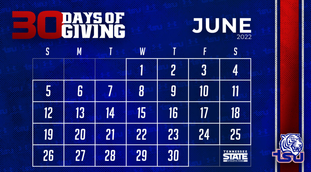 30 Days of Giving